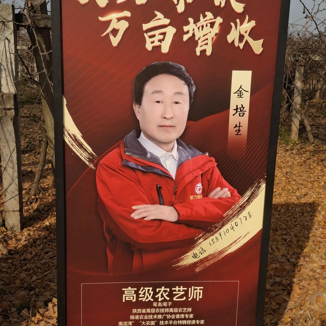 笔子(金培生)
