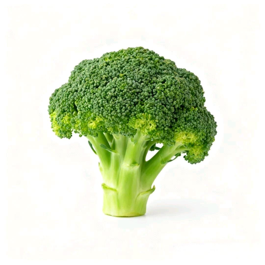 Peter（戒烟锻炼版）