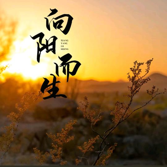 幹就完了