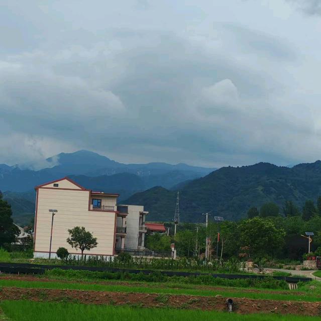 渭南买电器找娜姐