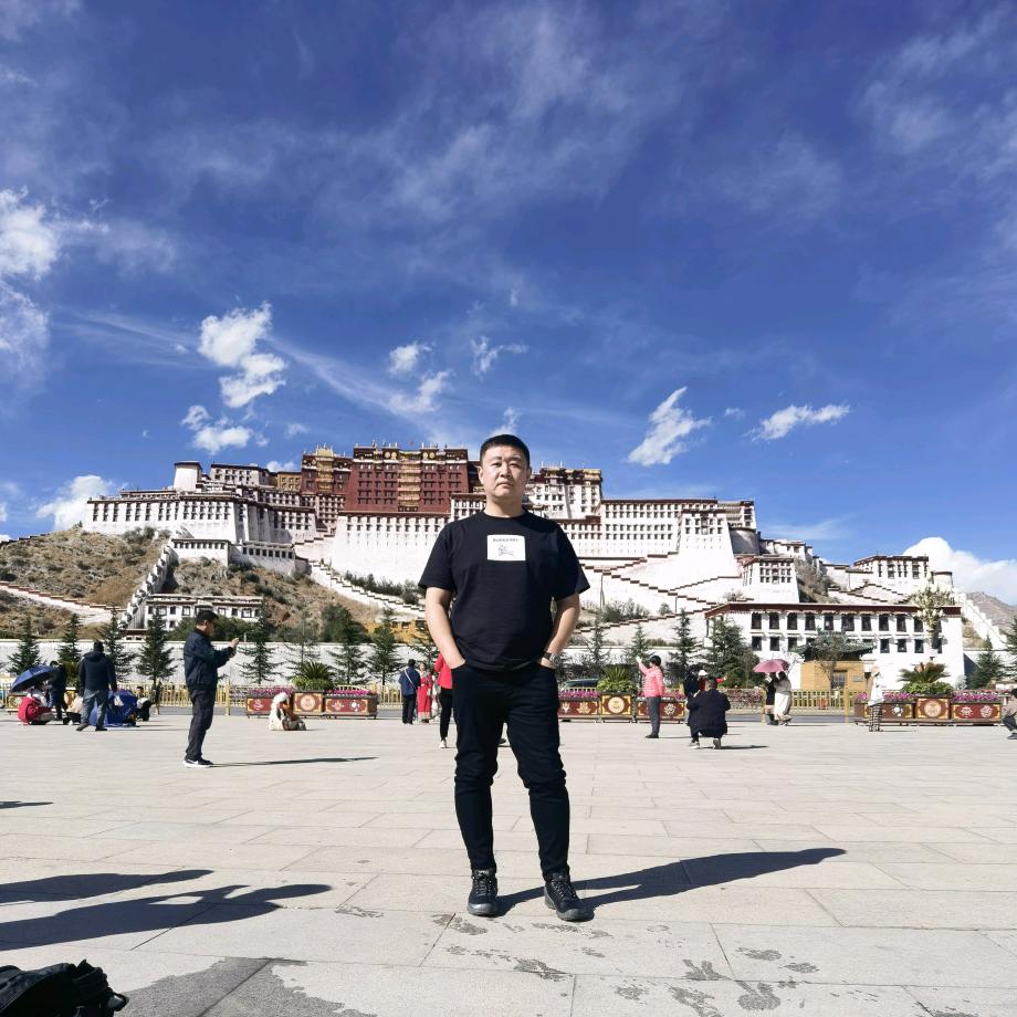 主营-北京精品二手车