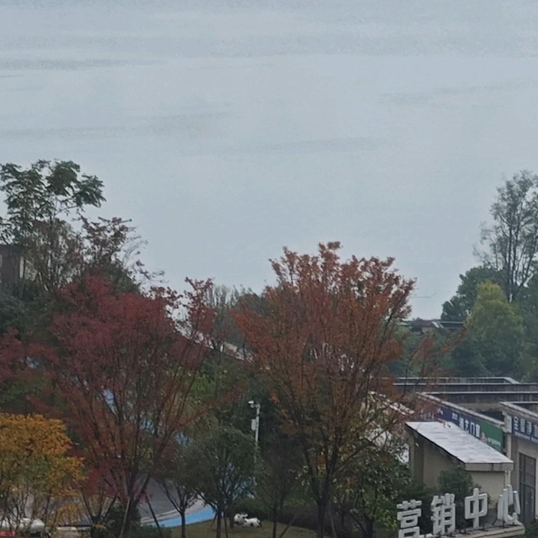 粉雾海