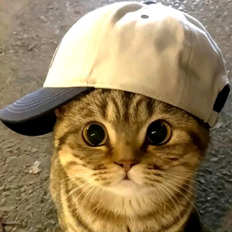 Woonう