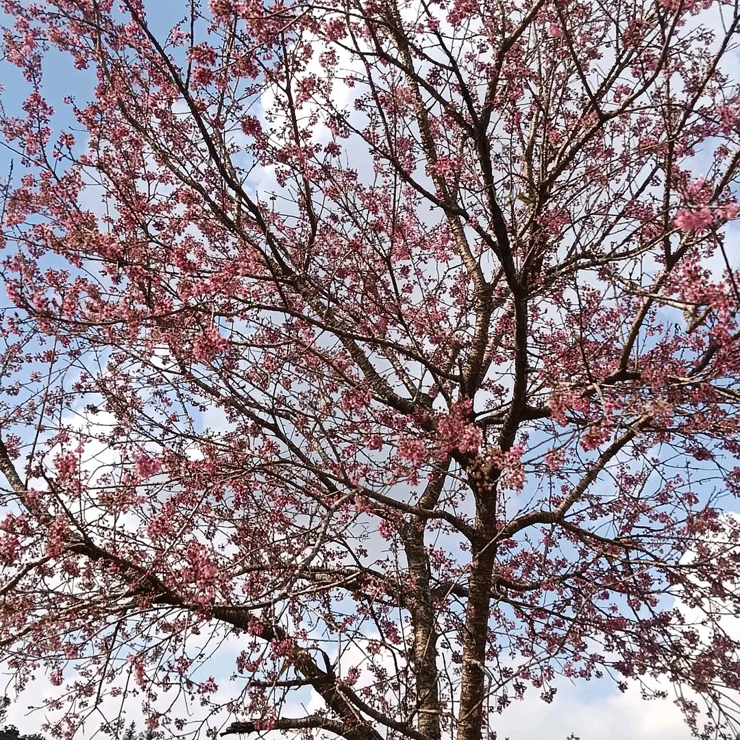 最美外婆（没有之一）