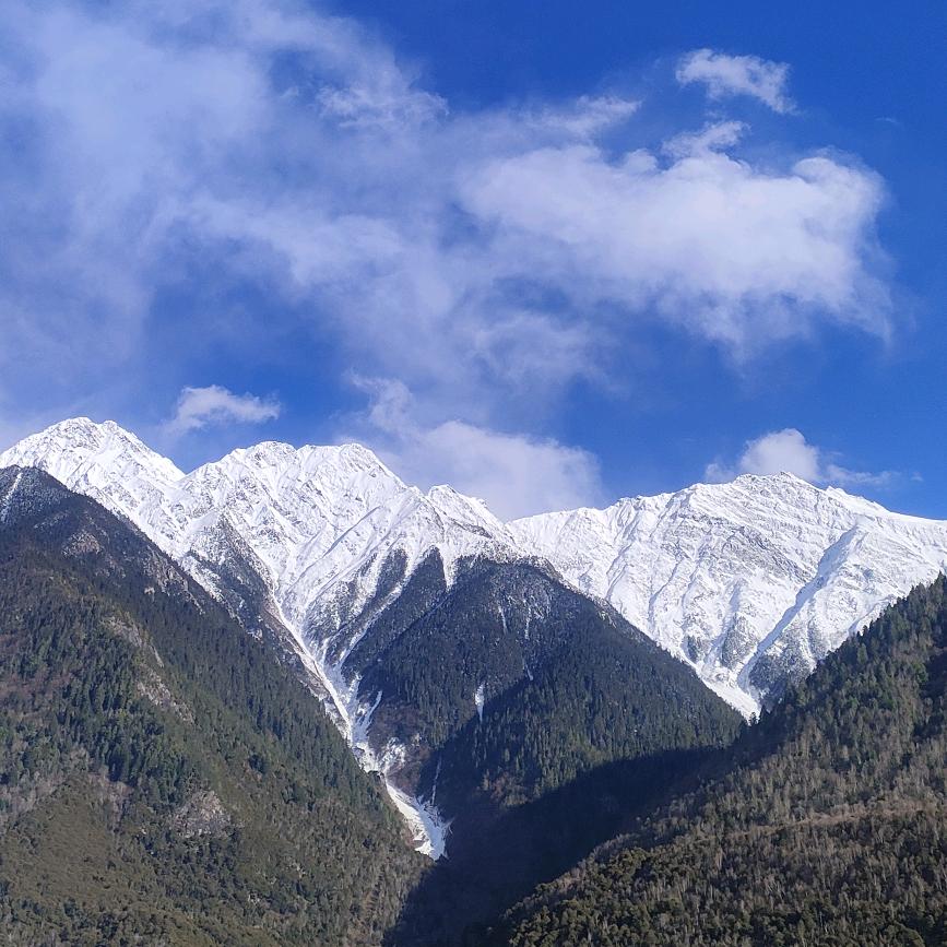 古董少年也无心