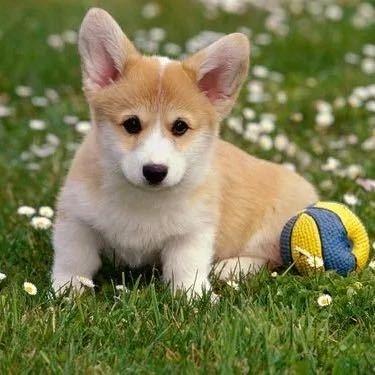 坚持胜利😊😊😊