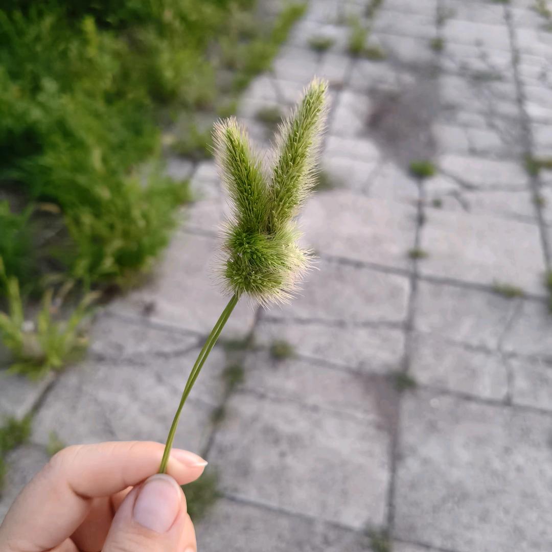 范ཻ๓ ້来张口࿐