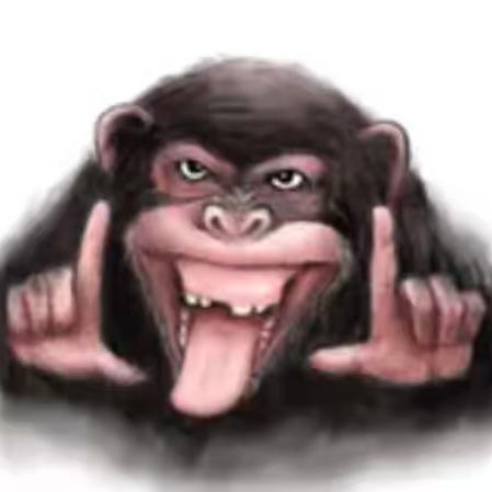 重庆小贵妃（大胃袋）