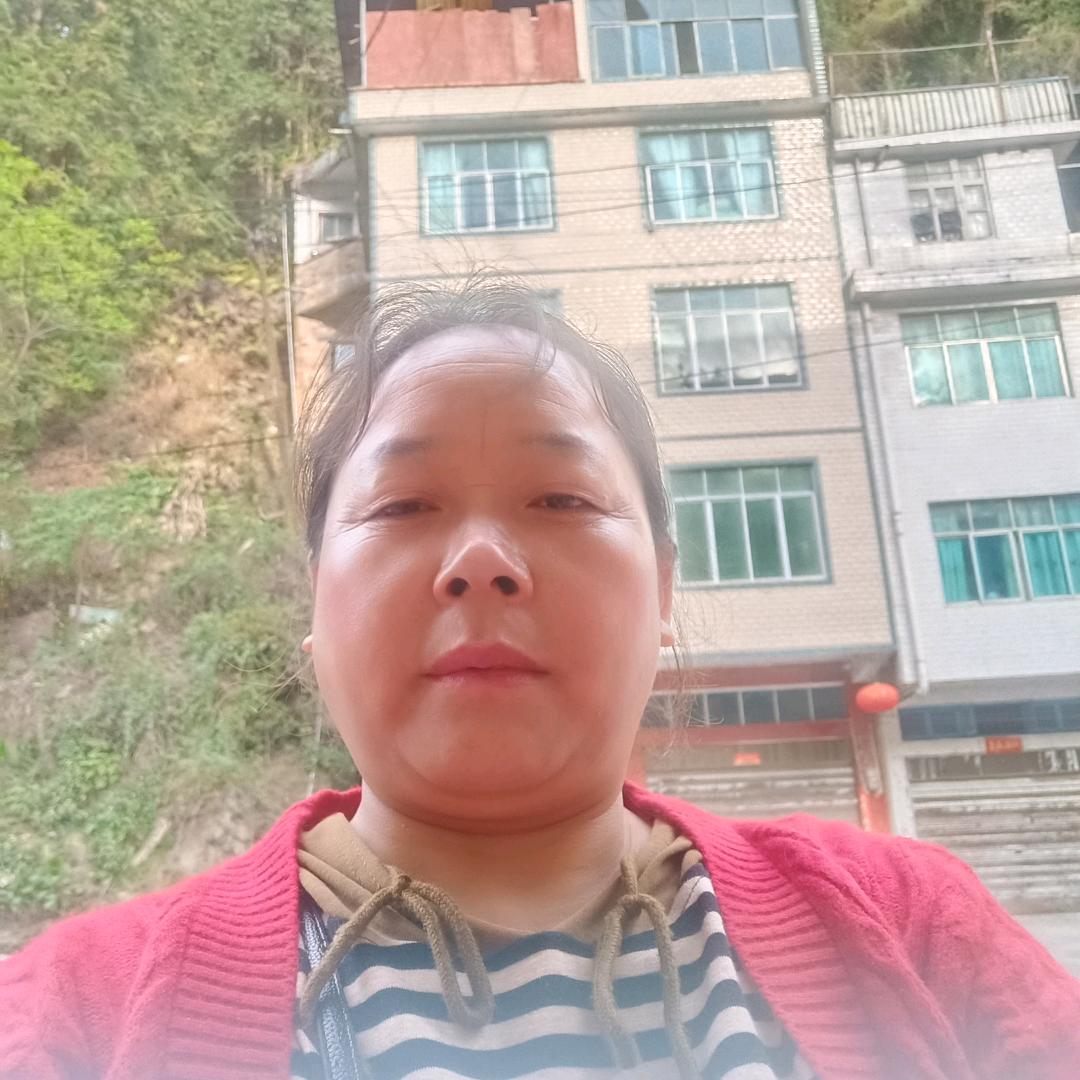 桃姐