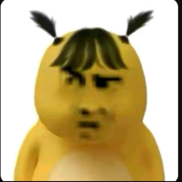Y.Y