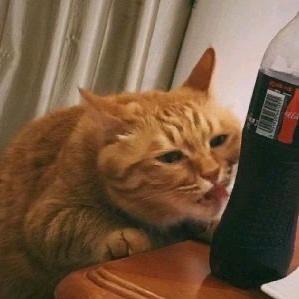 长生不老大王