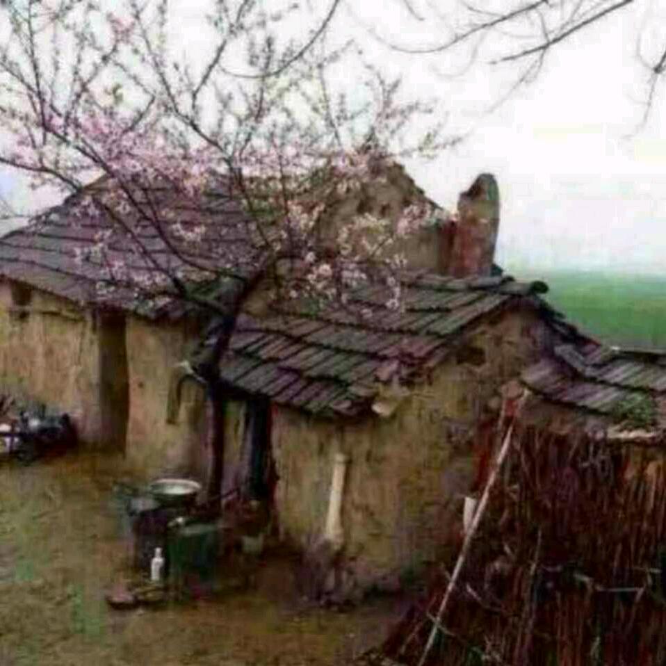 雷哥