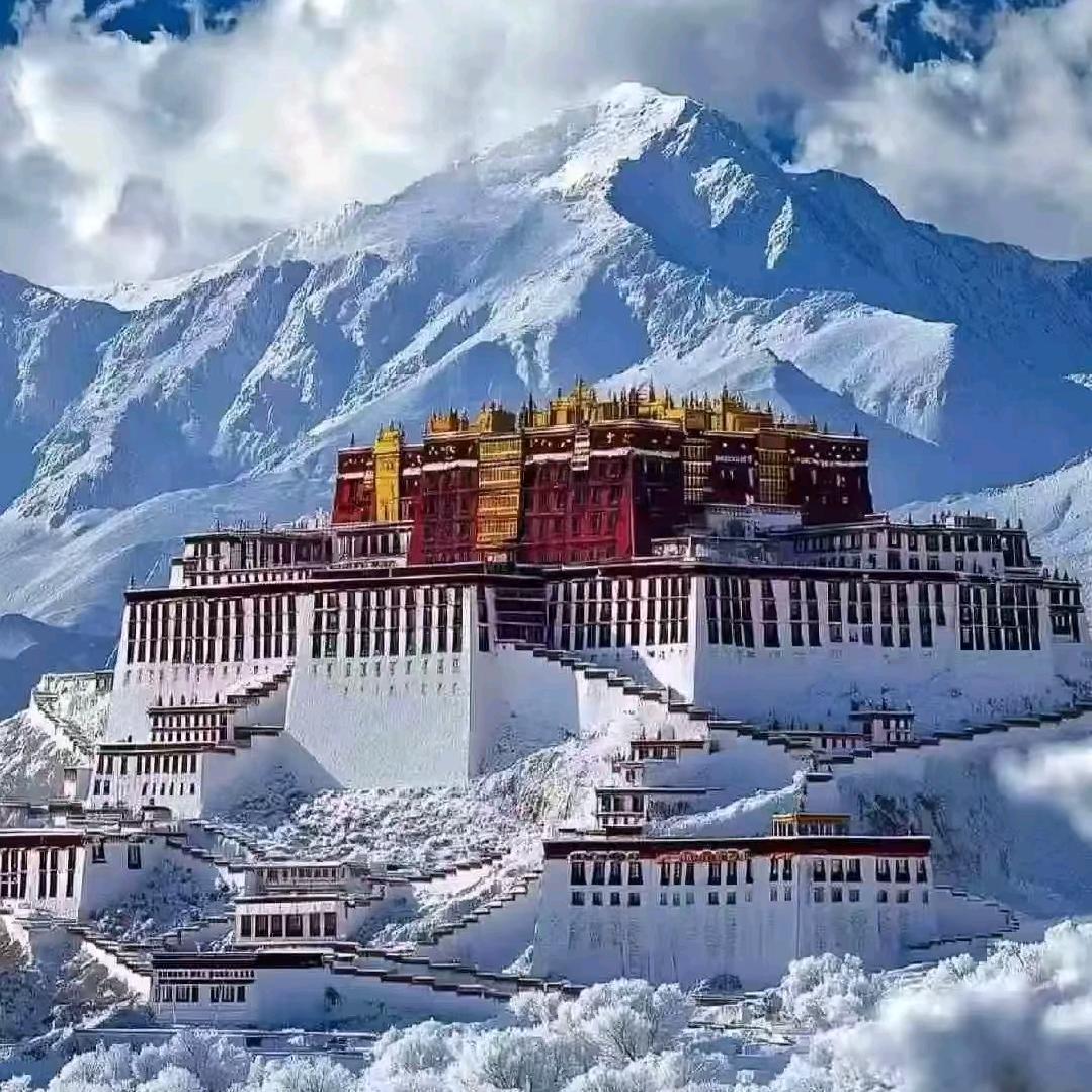 @南征  ✈️   北战 ★  鑫哥