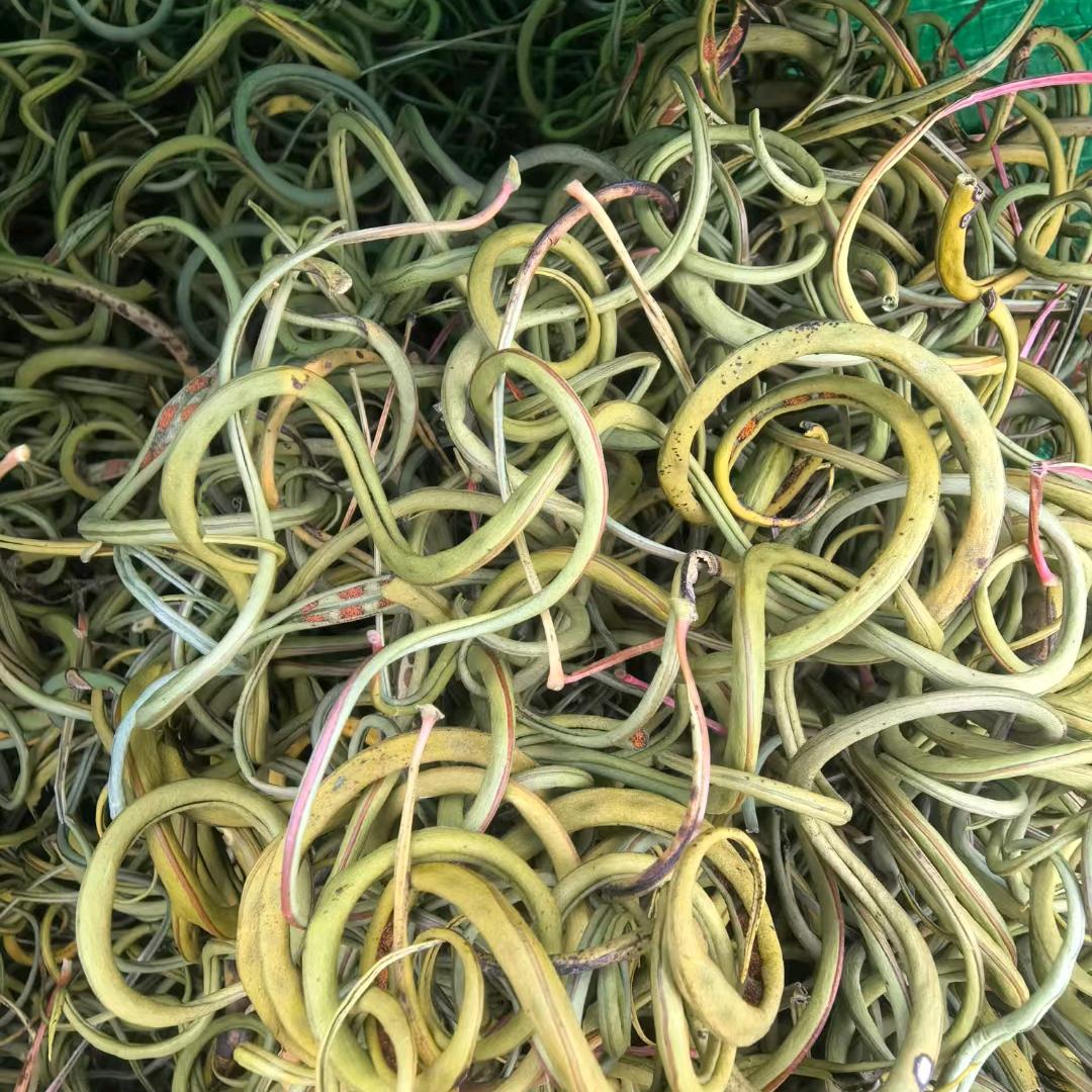 野生菌，中药材