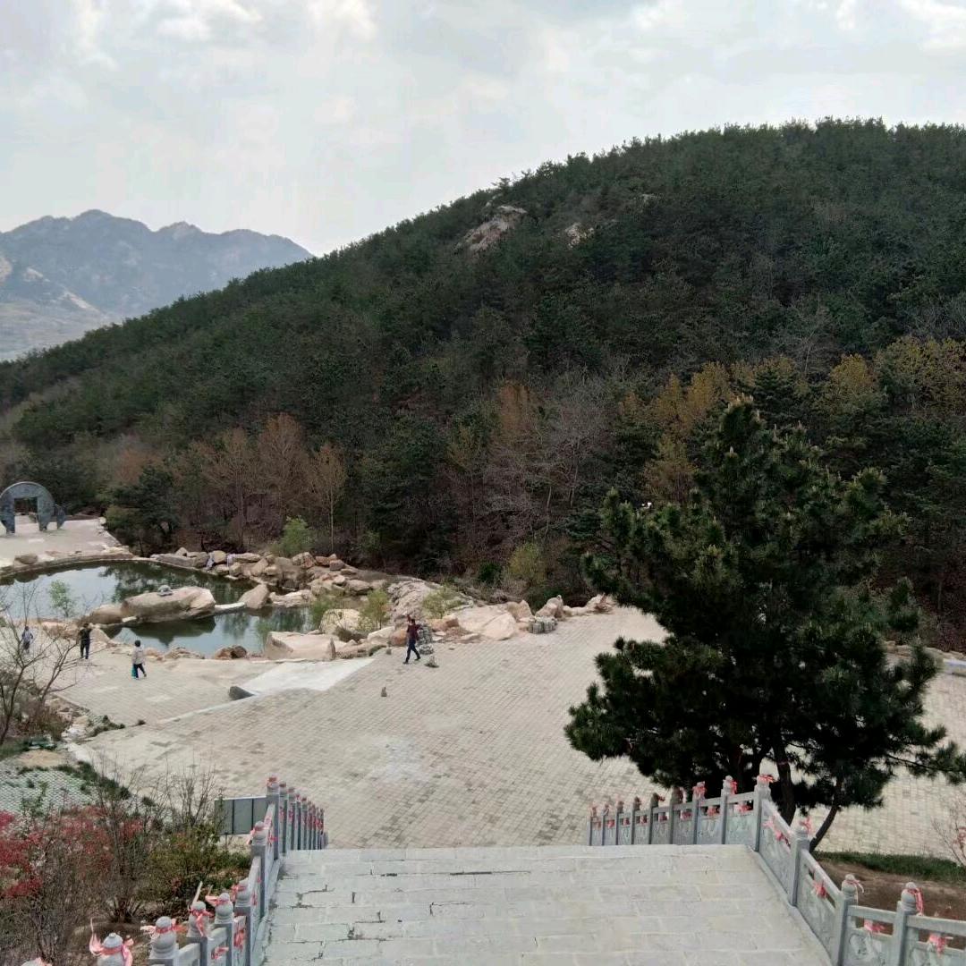 天胜城的贝波头像