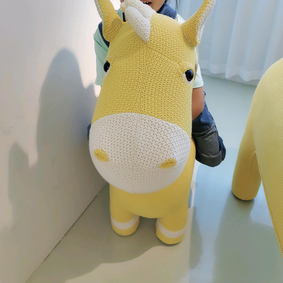 小鸵鸟