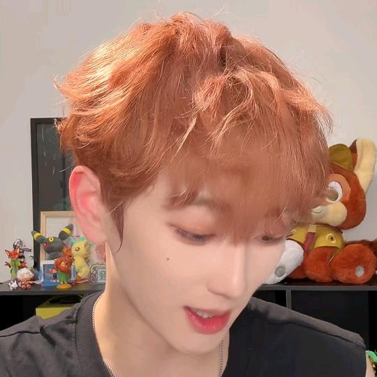环扇的小🦊尼