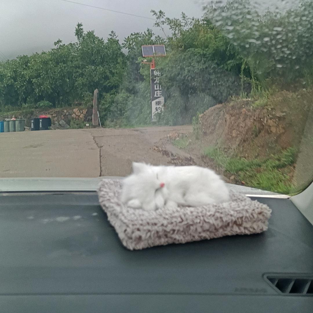 留得住
