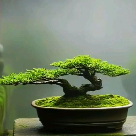 半生遗憾半生梦