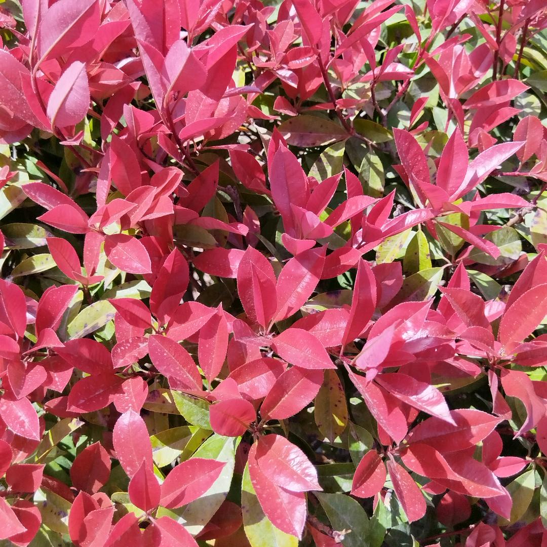 财财妞🐮（11）