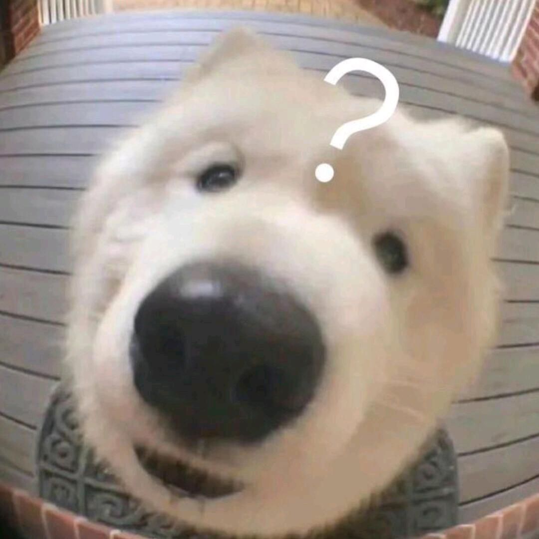 云阳