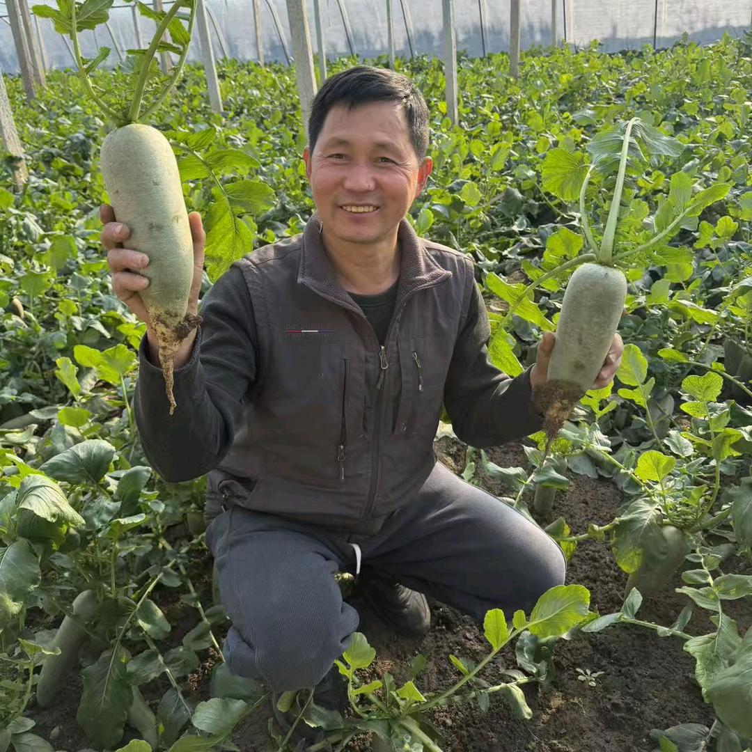 小虎家的蔬菜农场