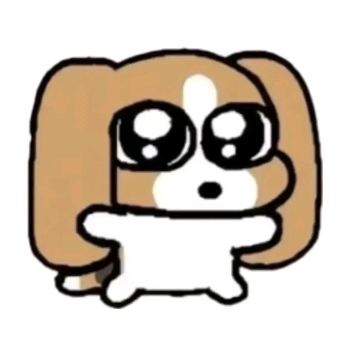 小鱼不吐🫧