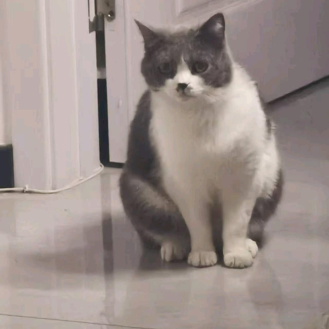 来财^O^