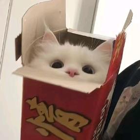 下次