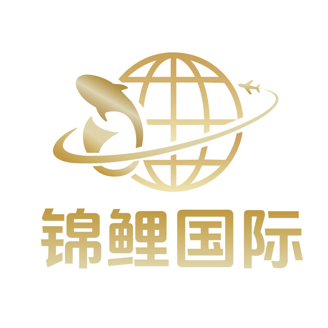 唐人街-锦鲤国际留学移民