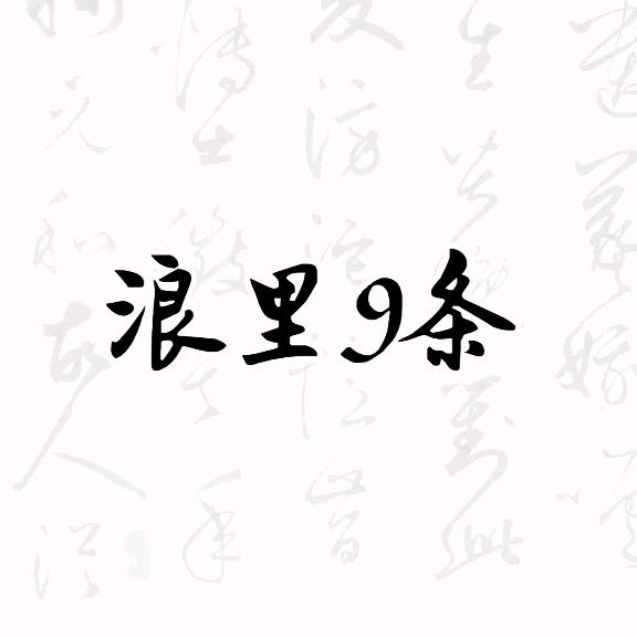 浪里9条