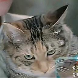 娜娜酱的专属运营老班长老兵