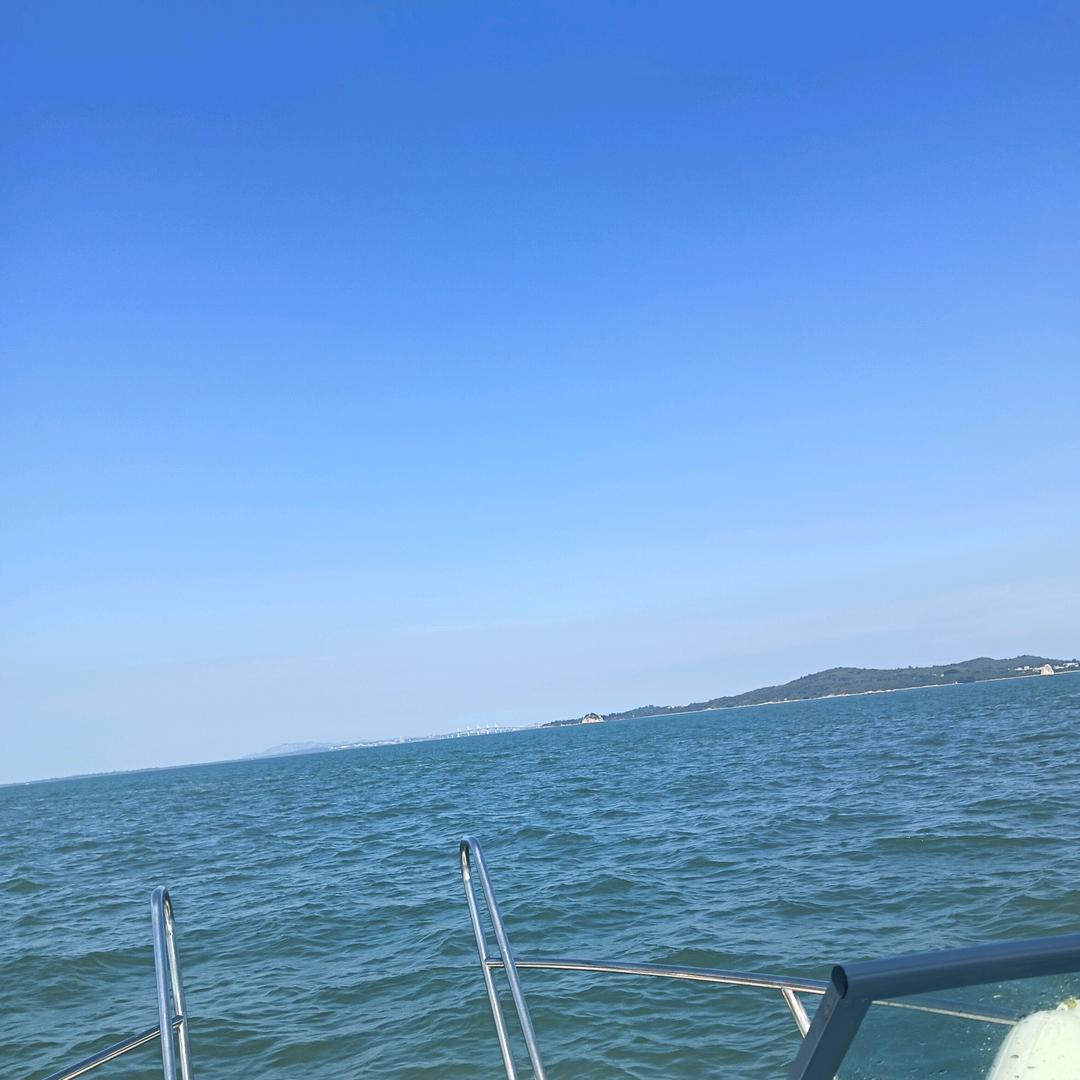 打不死小强（拒私聊）