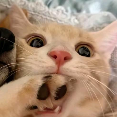 我尿得很高以为能遮住脸上的泪