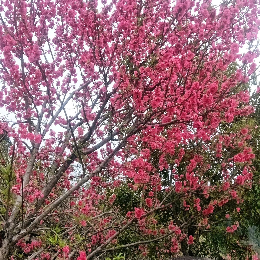 沉默