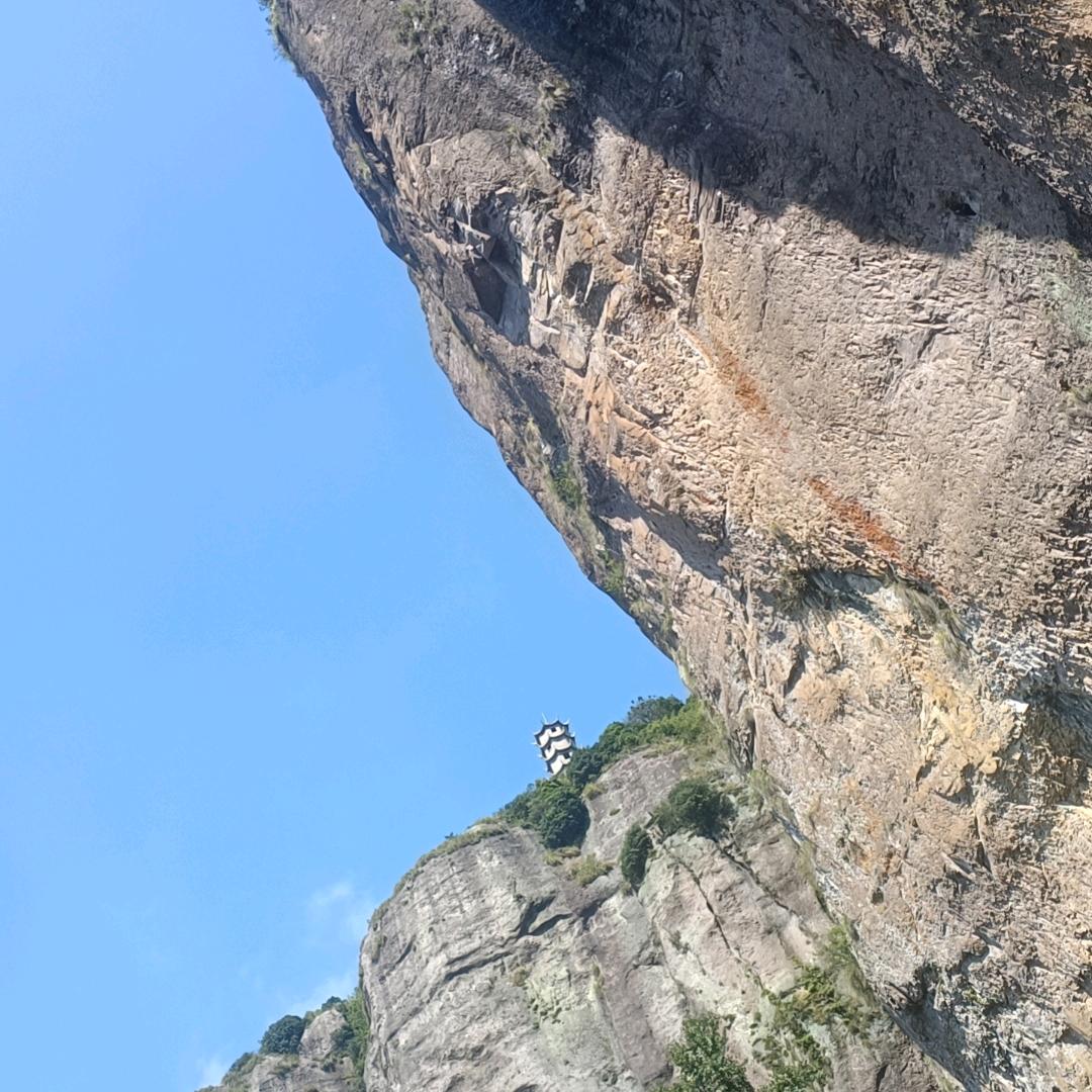 💯忠于🐷始于🔒🔒