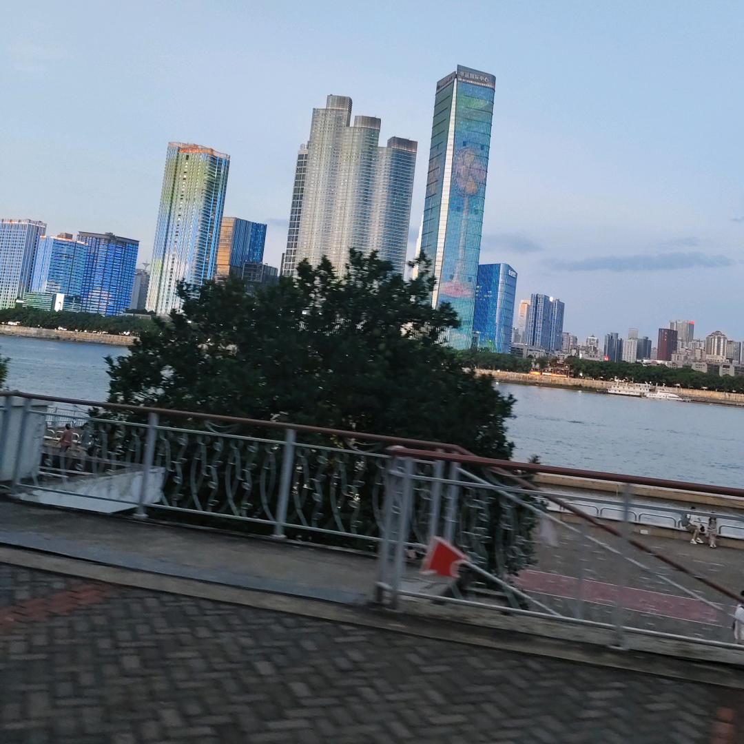 大向