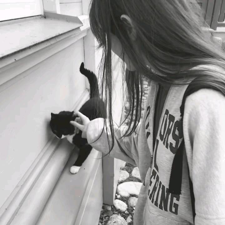 我家晴晴最萌、