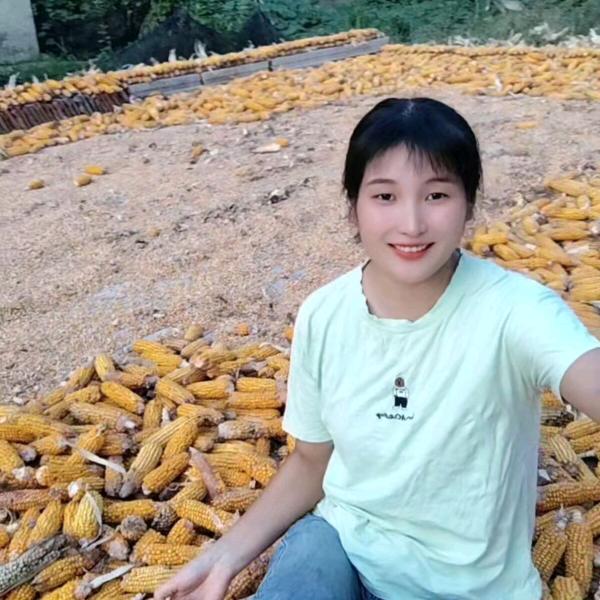 乡村妙盈