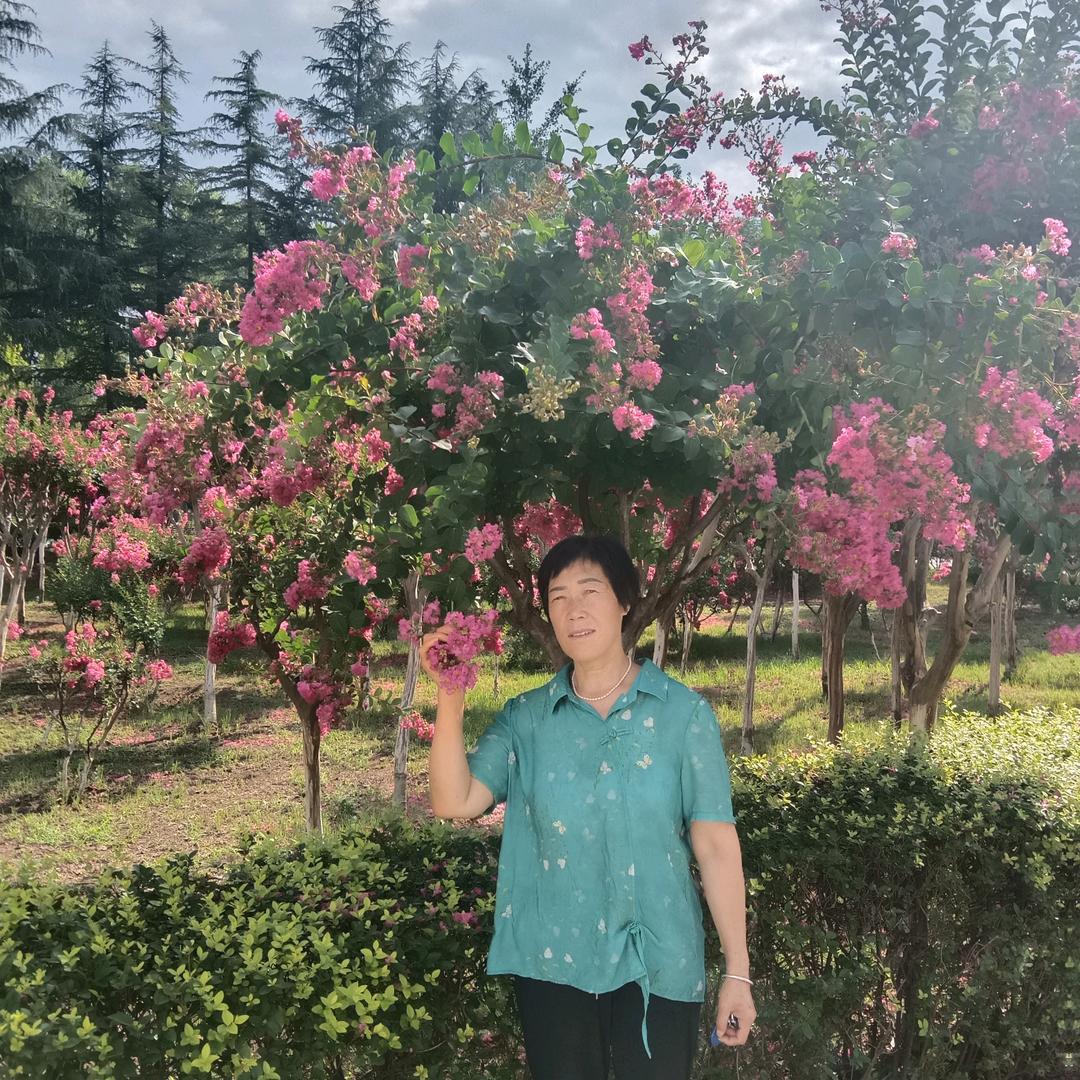 夏天好物（好物在橱窗）