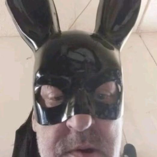 我 是 人 (･∞･ﾐэ )Э