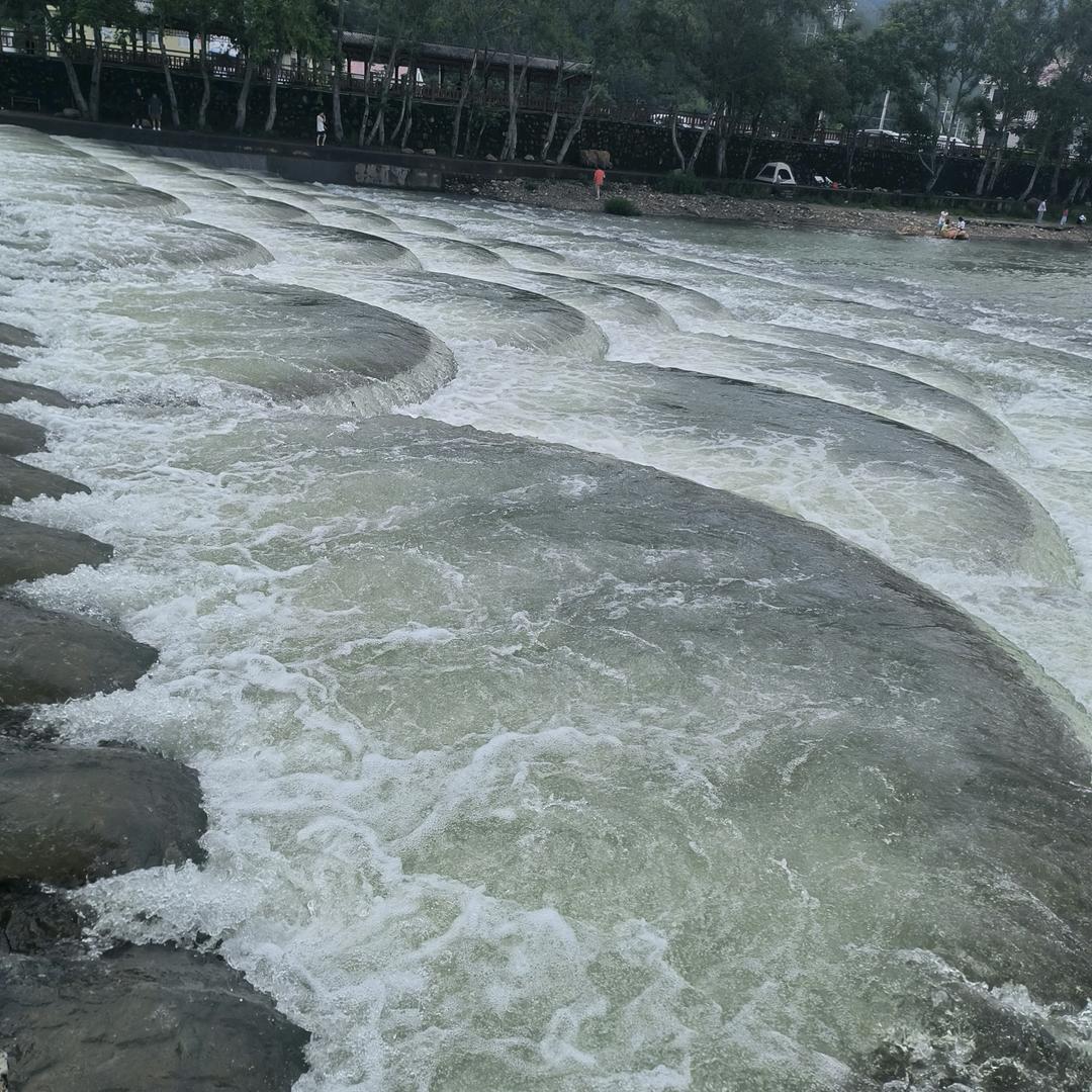 风尘孤狼