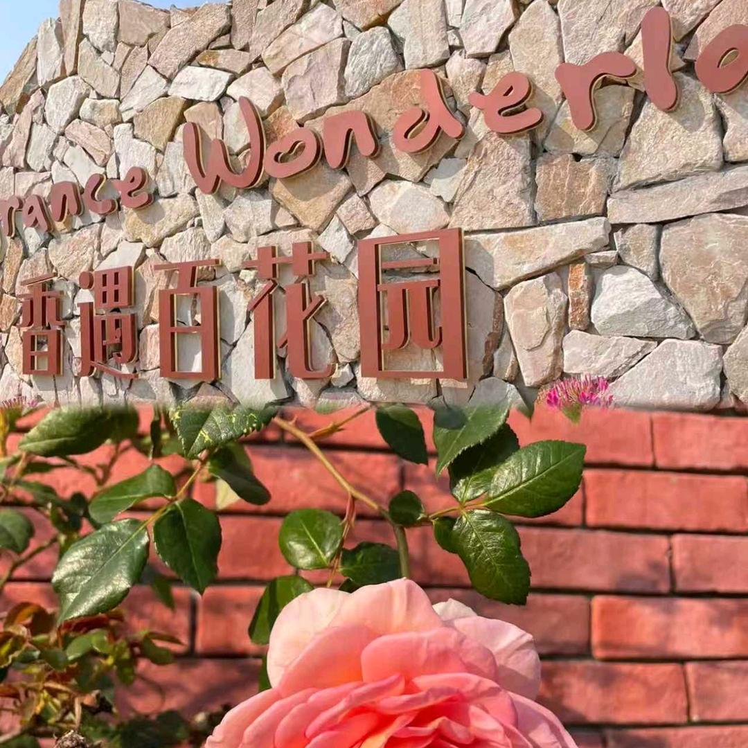 丽丽-爱旅行