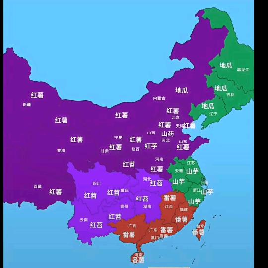 涛同学