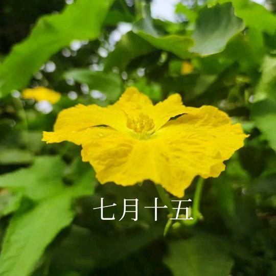 陌生的人生