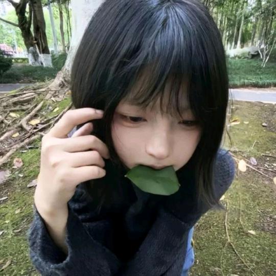 你的顿悟很可爱