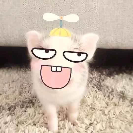 胖甜（努力涨粉中~）