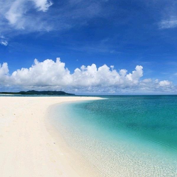 龙弟兄👏👏👏