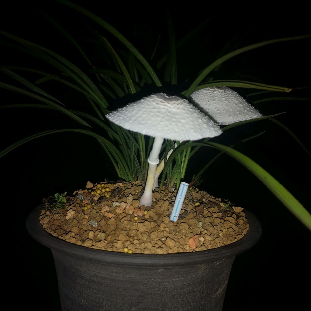 广德名庭装饰老陈