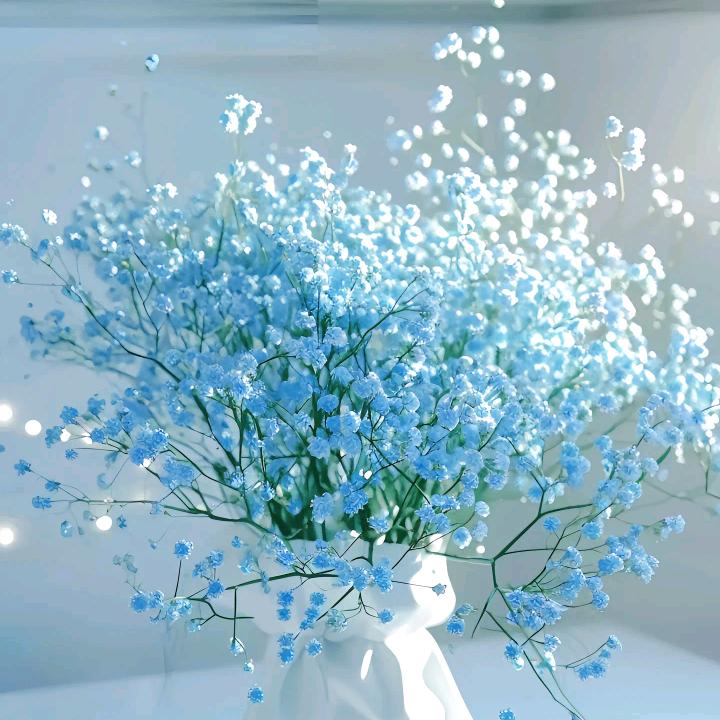 是明明呀